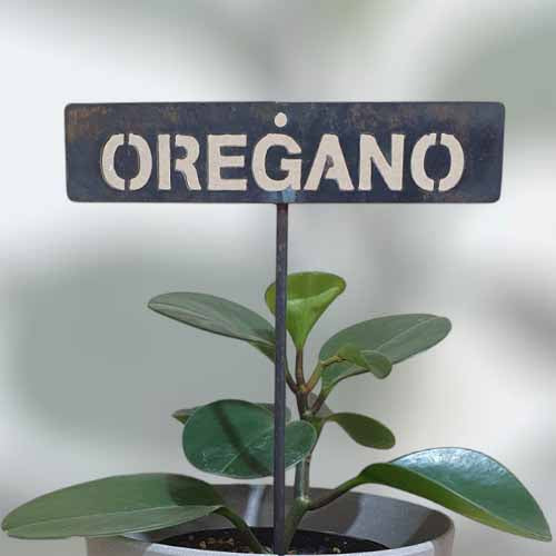 Garden Bed Sign - Rusty - Oregano