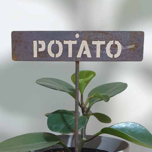 Garden Bed Sign - Rusty - Potato