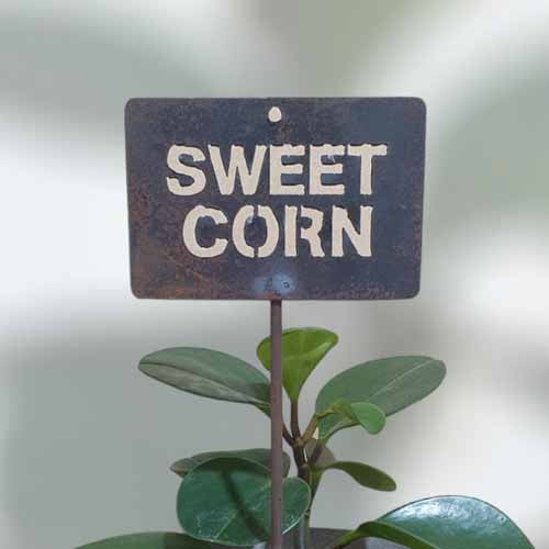 Garden Bed Sign - Rusty - Sweet Corn