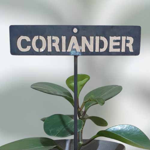 Garden Bed Sign - Rusty - Coriander