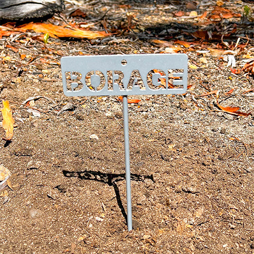 Garden Bed Sign - Borage - Metal - Powder Coated