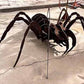 Tarantula 3D Large