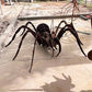 Tarantula 3D Large